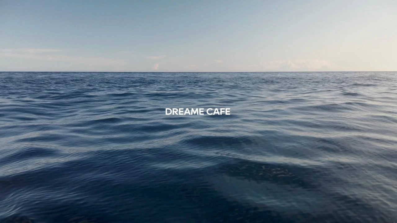 DREAME CAFE追觅咖啡品牌手册_第1页