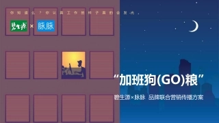 碧生源×脉脉品牌联合营销传播方案