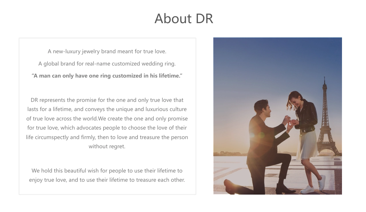 DR珠宝品牌手册_第3页