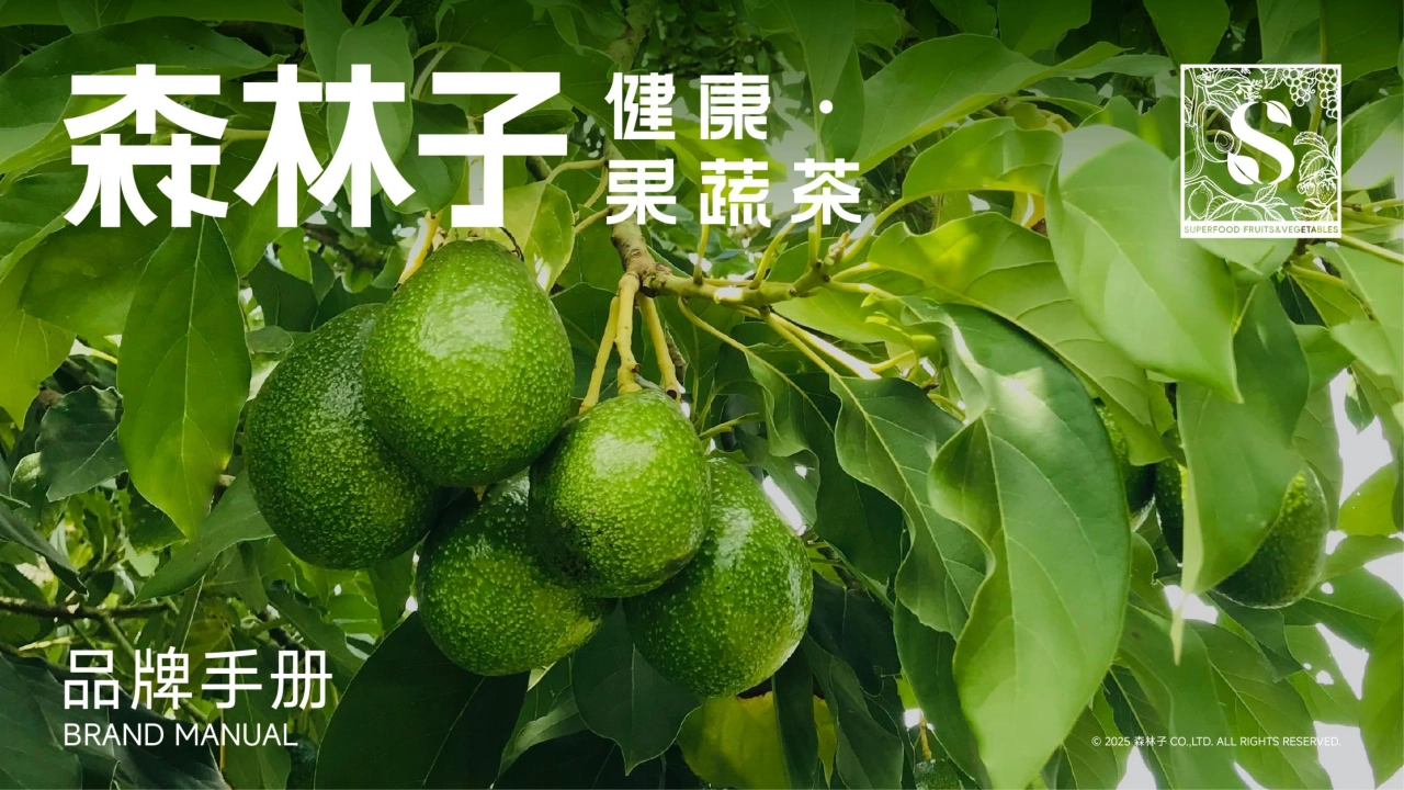 Sunlth森林子健康果蔬菜品牌手册_第1页