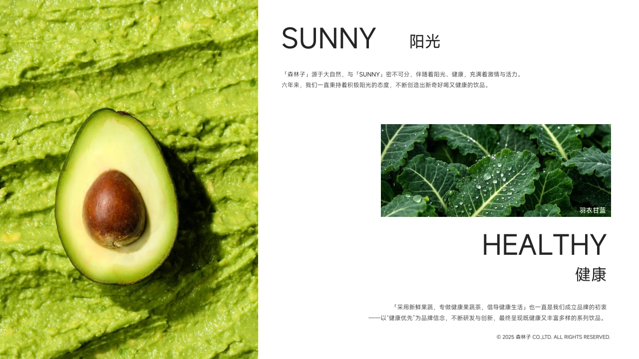 Sunlth森林子健康果蔬菜品牌手册_第2页