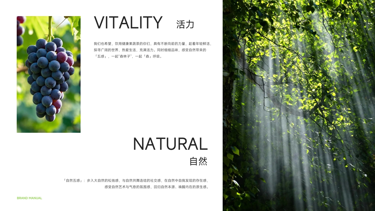 Sunlth森林子健康果蔬菜品牌手册_第3页