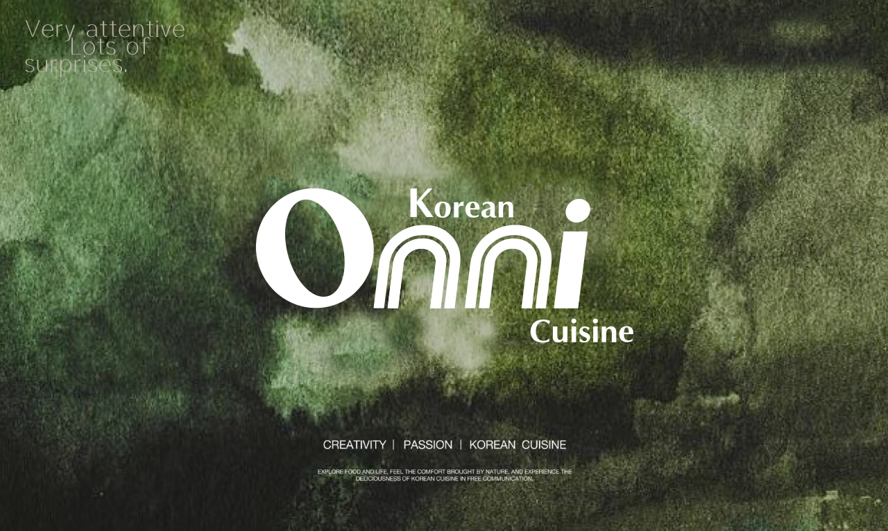 ONNI创意韩料品牌手册_第1页