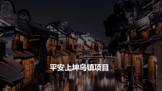 乌镇文旅商业项目品牌营销方案