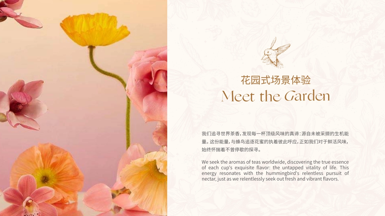 MICHA山也觅茶品牌手册_第2页