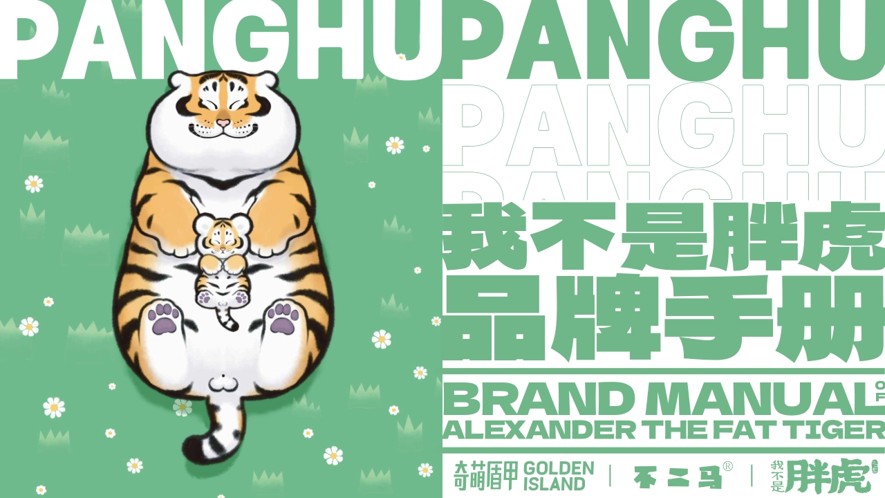 我不是胖虎品牌手册_第2页