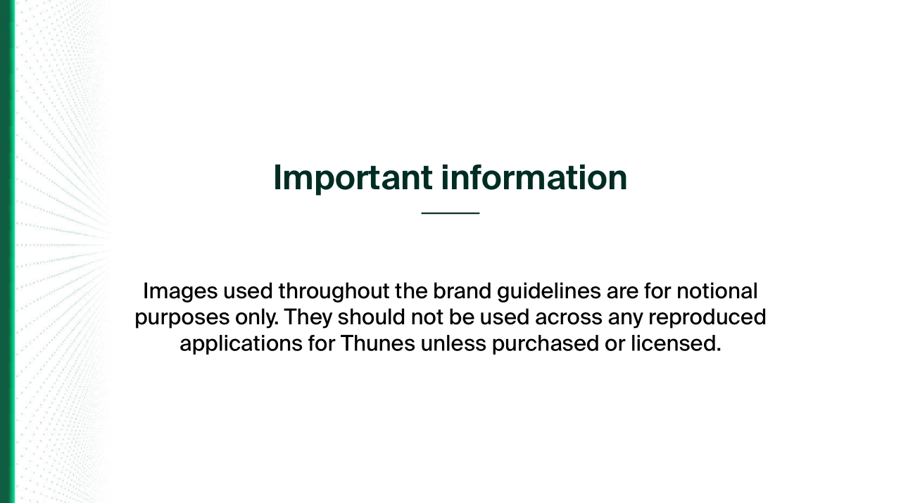 新加坡Thunes支付品牌VI手册_第2页