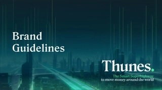 新加坡Thunes支付品牌VI手册