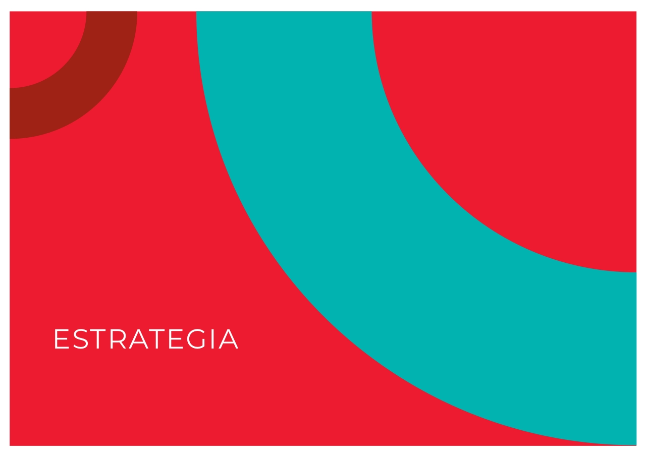 阿根廷TGN北方天然气运输公司品牌VI手册_第3页