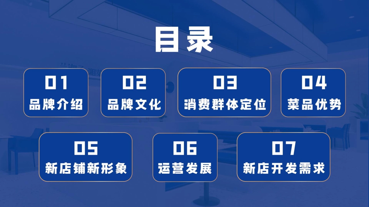 LANXIANGZI兰湘子品牌商业手册_第3页