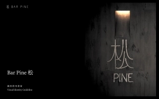 中国台湾BAR PINE松酒吧VI手册