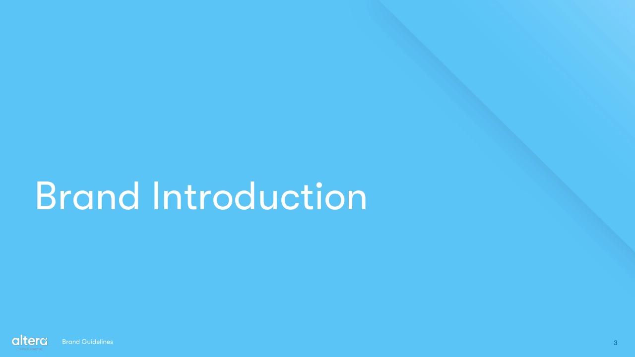 美国Altera阿尔特拉可编程芯片系统品牌VI手册_第3页