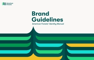 美国AMERICAN FORESTS森林保护公益组织VI手册