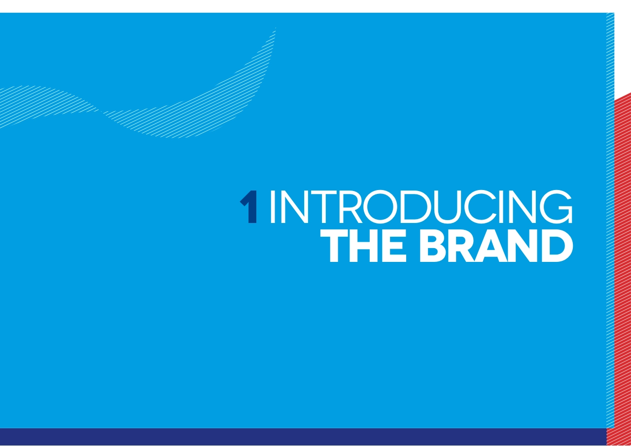 英国British swimming游泳协会logo视觉规范_第3页