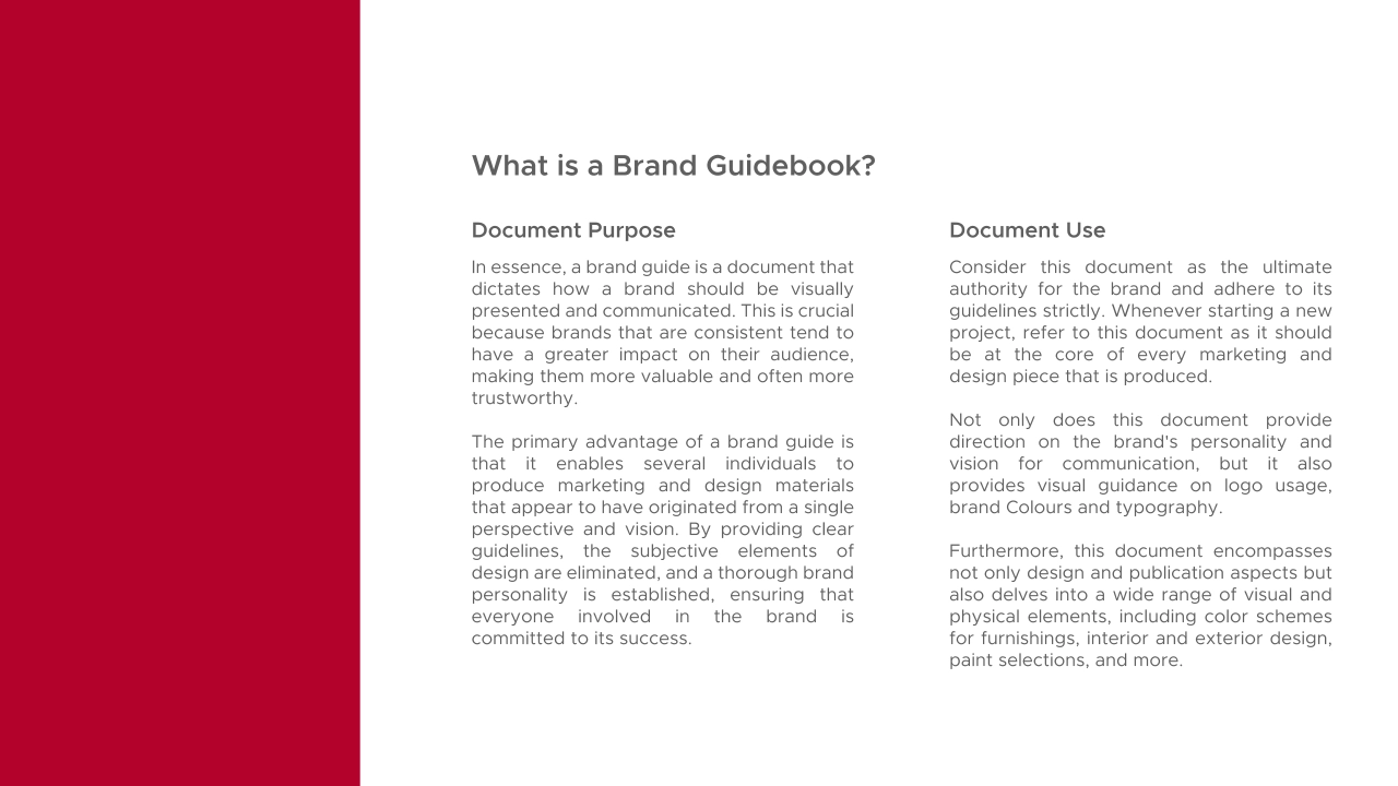 约旦Jordan Football Association足球协会LOGO规范_第3页