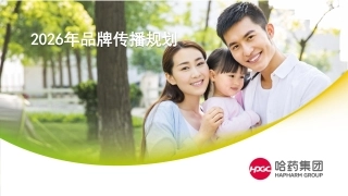 医药品牌年度品牌传播规划方案