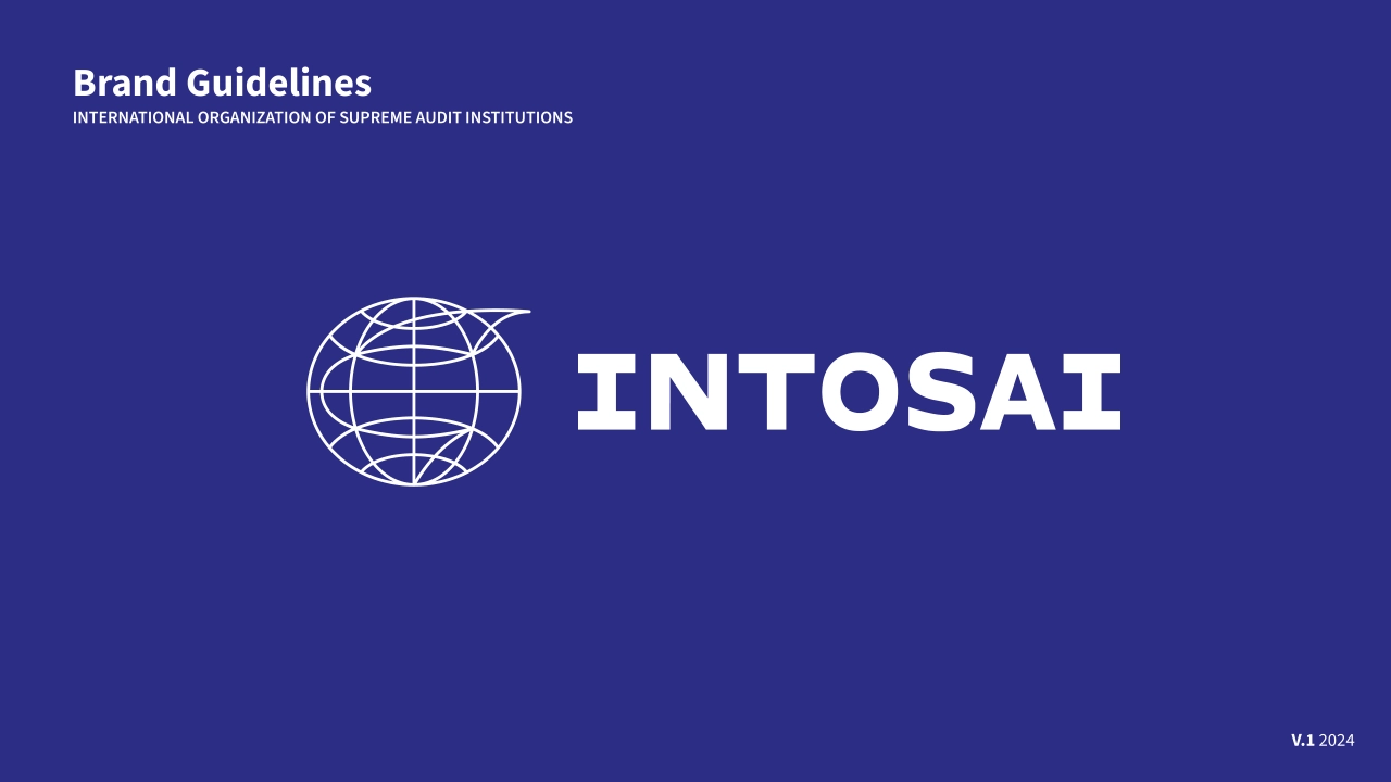 国际INTOSAI最高审计机关国际组织VI手册_第1页