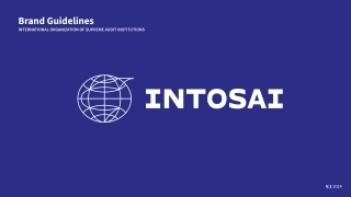 国际INTOSAI最高审计机关国际组织VI手册