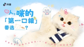 宠物行业IP《第一口粮》招商方案