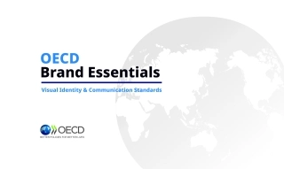 国际OECD经济合作与发展组织VI手册