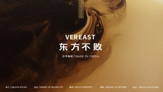 VEREAST东方不败咖啡品牌手册