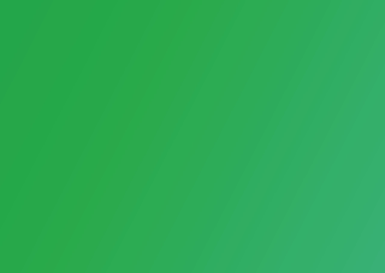 巴西GOVERNO DO ESTADO DO CEARÁ塞阿拉州政府VI手册_第2页