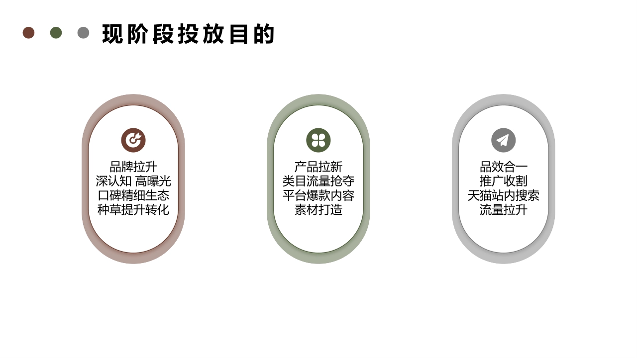 Twining川宁茶拿铁投放方案_第3页