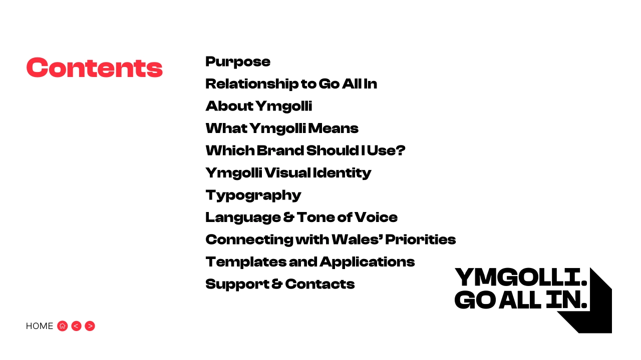 英国YMGOLI威尔士国家阅读年VI手册_第2页